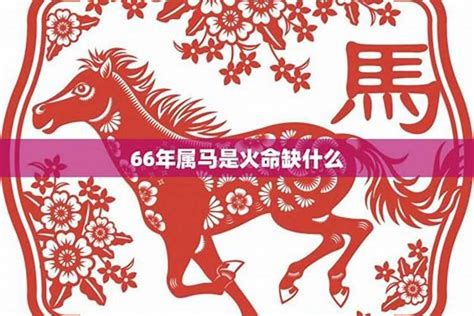 1966年五行属什么|1966年属马的几月出生最好 1966年属马五行属什么